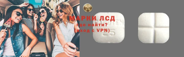 индика Магас