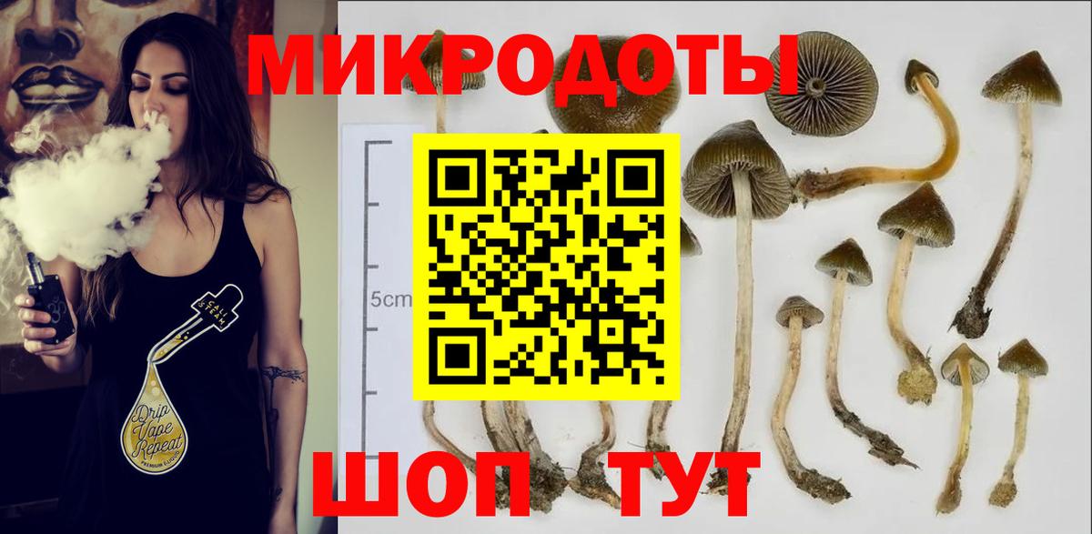 Псилоцибиновые грибы Psilocybe Нефтекамск